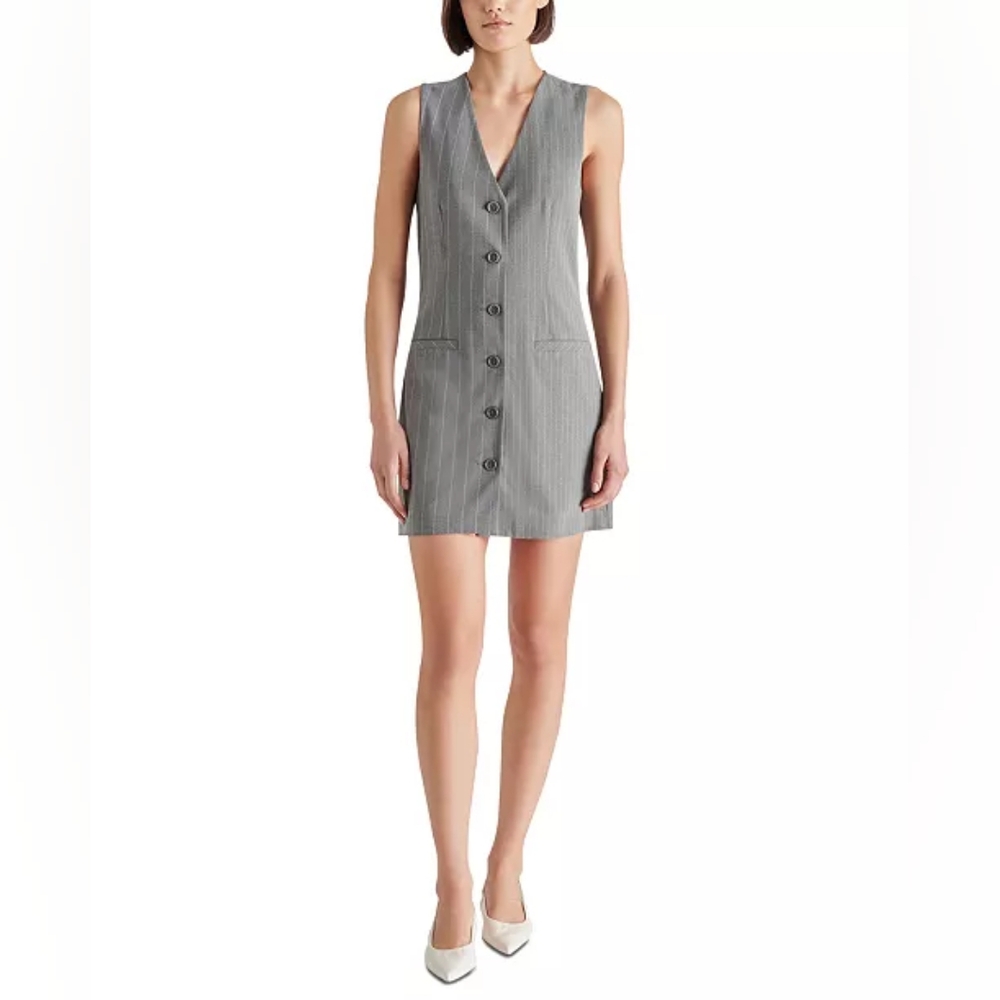 Steve Madden Cressida Pinstripe Mini Dress